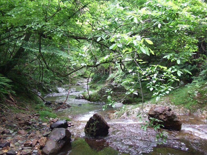 仙台市 宮城県内の水遊び 川遊びができる公園 全14ヶ所 いずとみ仙台