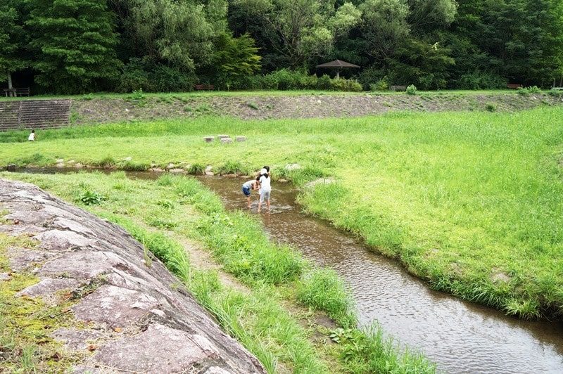 榎川砂防公園 川遊びや水生生物観察が楽しめる 宮城県利府町 いずとみ仙台